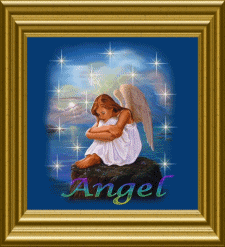 je prot&egrave;ge ce blog !